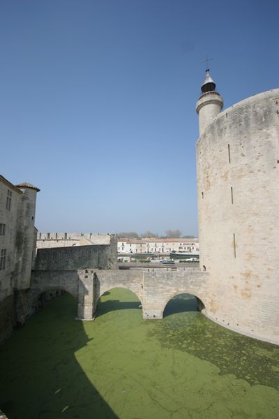img_1749.jpg