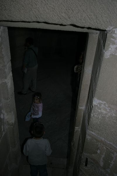 img_1784.jpg