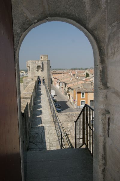 img_1785.jpg