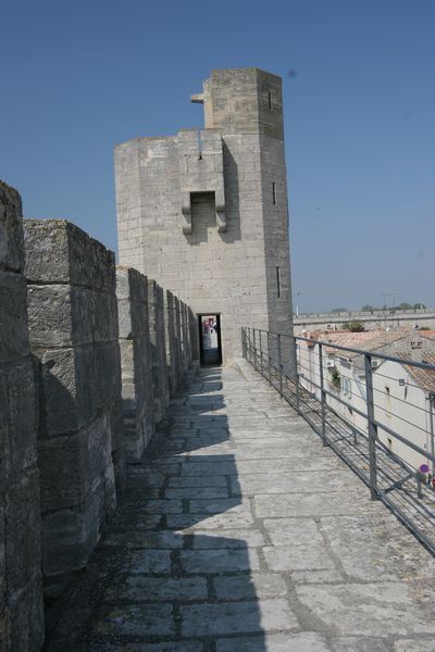 img_1788.jpg