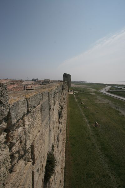 img_1789.jpg