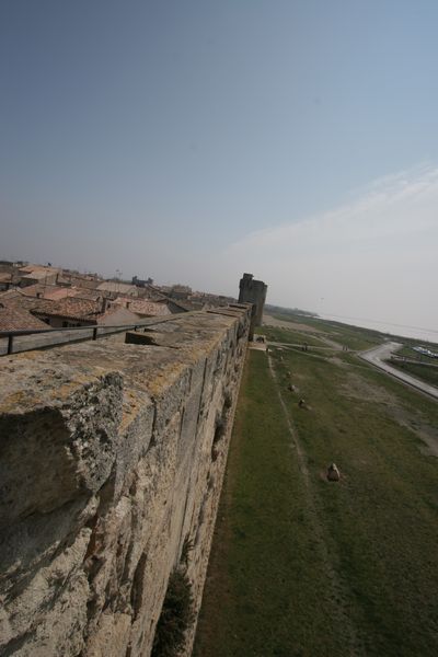 img_1791.jpg