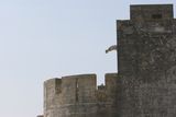 img_1757.jpg