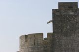 img_1758.jpg