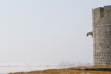img_1759.jpg