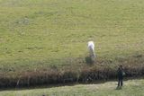 img_1760.jpg