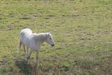 img_1761.jpg