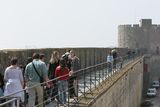 img_1765.jpg