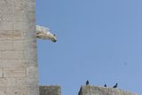 img_1768.jpg