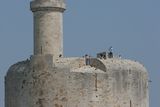 img_1796.jpg