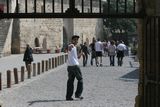 img_1808.jpg