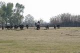 img_2024.jpg