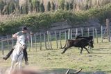 img_2063.jpg