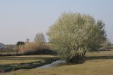 img_2086.jpg