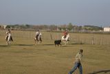 img_2090.jpg