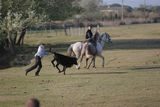 img_2091.jpg