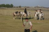 img_2096.jpg