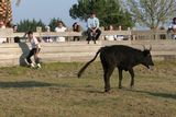 img_2108.jpg