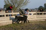 img_2113.jpg