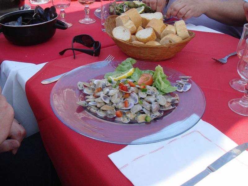 dsc00832.jpg