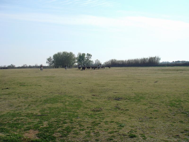 dsc00867.jpg