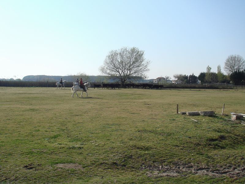 dsc00869.jpg