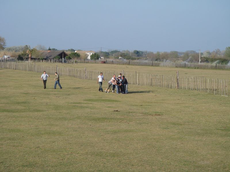 dsc00887.jpg
