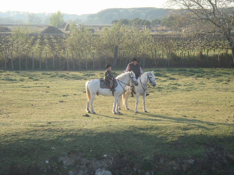 dsc00902.jpg