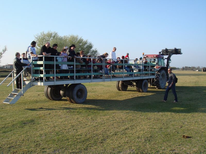 dsc00905.jpg