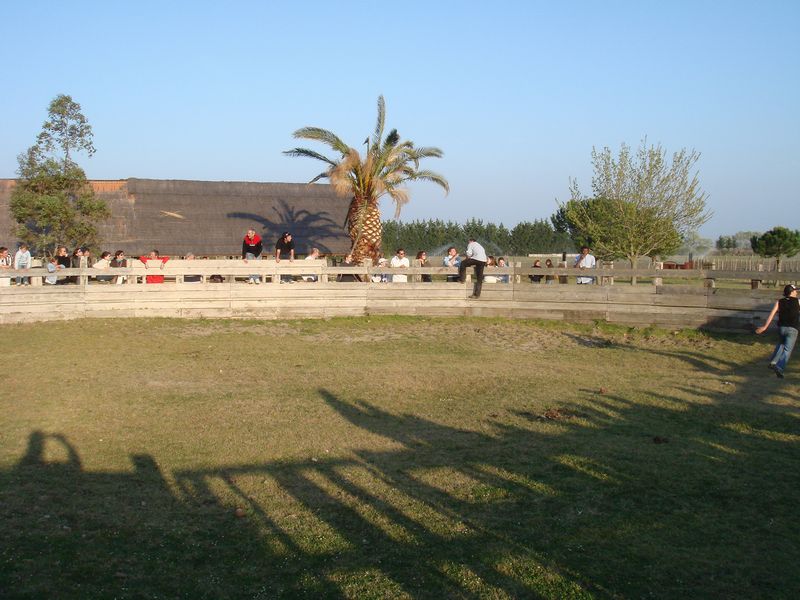 dsc00916.jpg