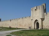 dsc00843.jpg