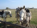 dsc00853.jpg