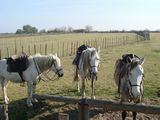 dsc00855.jpg