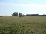 dsc00867.jpg