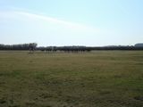 dsc00868.jpg