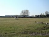 dsc00869.jpg