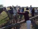 dsc00871.jpg