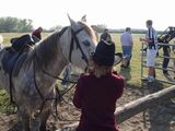 dsc00873.jpg