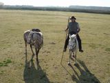 dsc00876.jpg