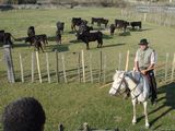 dsc00878.jpg
