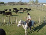 dsc00879.jpg