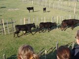 dsc00880.jpg