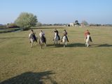 dsc00881.jpg