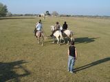 dsc00885.jpg