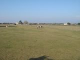 dsc00886.jpg