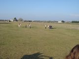 dsc00888.jpg