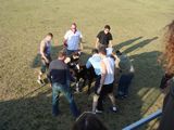 dsc00889.jpg