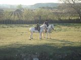 dsc00902.jpg