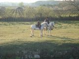 dsc00903.jpg