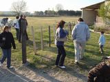 dsc00909.jpg